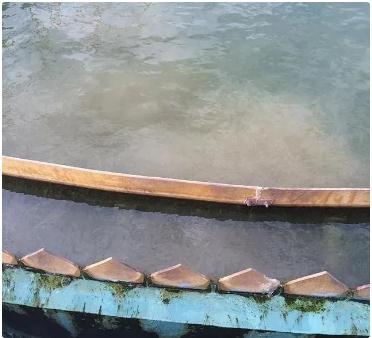 ABG���š�(�й�)����